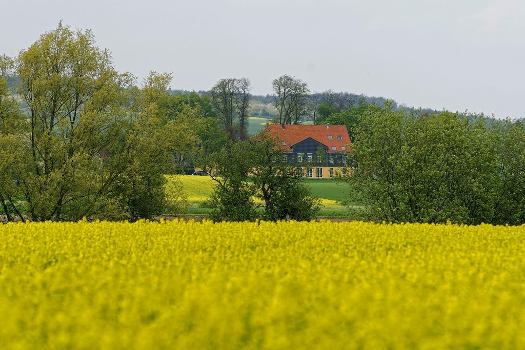 Landhaus Heidekrug Hildesheim Zewnętrze zdjęcie